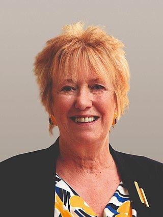 <span class="mw-page-title-main">Christine Grahame</span> Scottish National Party politician