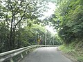 大井町東平 徳島県道19号阿南鷲敷日和佐線 (3)