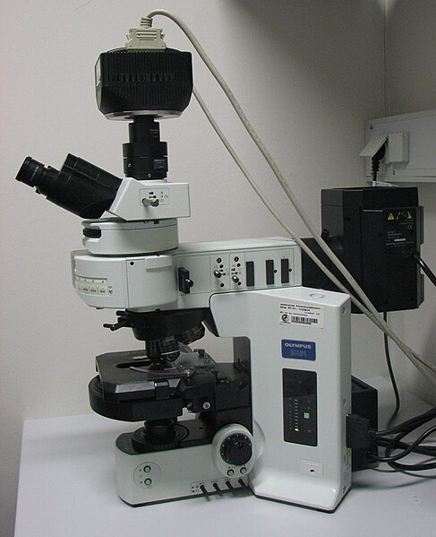 File:Olympus-BX61-fluorescence microscope.jpg