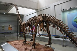 Omeisaurus (9965105873).jpg