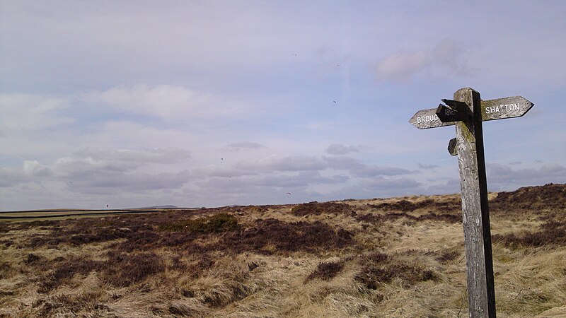 File:On Abney Moor - geograph.org.uk - 3160664.jpg