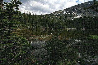 Trees at Ouzel Lake, Rocky Mountain National Park, Colorado