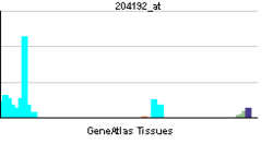 PBB GE CD37 204192 at tn.png