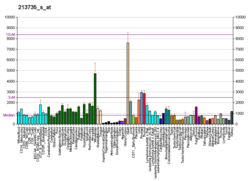 PBB GE COX5B 213735 s at fs.png