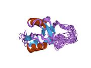 PDB 1rjh EBI.jpg