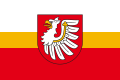 Vlajka okresu Brzesko