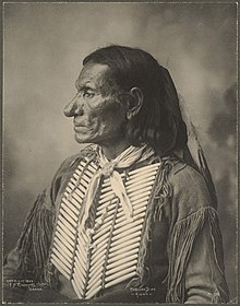 Pablino Diaz (Kiowa) wearing a hair pipe breastplate, 1899 Pablino Diaz, Kiowa.jpg