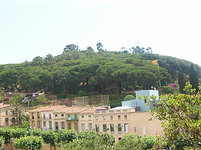 citas rapidas de caldas de estrach