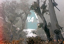 Рейс 268 Пакистанских международных авиалиний Crashsite.jpg