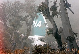 Pakistan International Airlines Flight 268 Crashsite.jpg