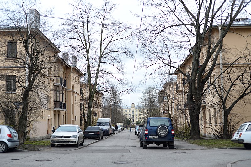 File:Palevsky housing estate - central road.jpg