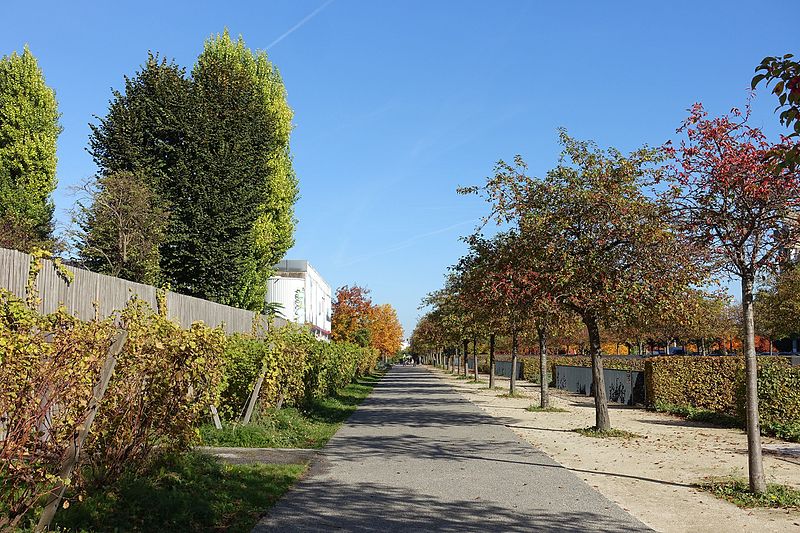 File:Parc Départemental des Cormailles @ Ivry-sur-Seine (30037518614).jpg