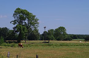 Paysage près de Heidmühlen en été.jpg