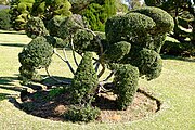 Topiary Garden by Pearl Fryar, Bishopville, South Carolina, U.S.