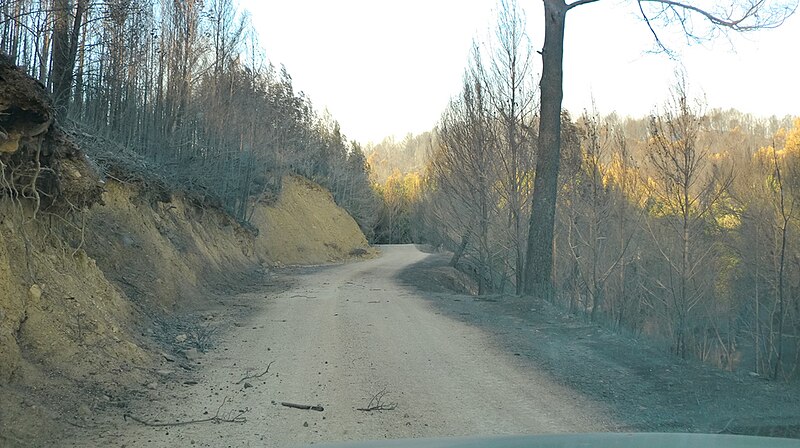 File:Pel camí de la Muga entre Llers i Pont de Molins amb les vores cremades.JPG