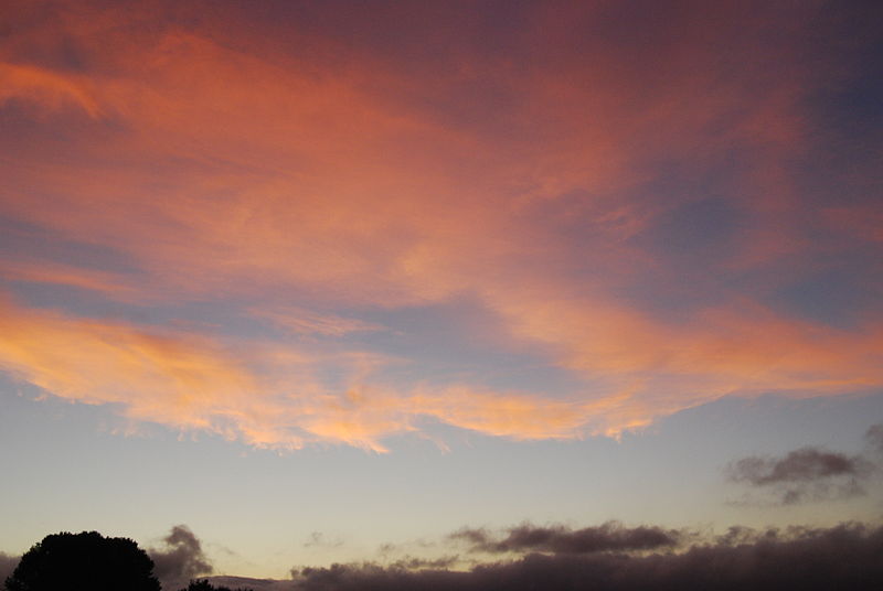 File:Pink cloud, deep blue sky, pale horizon (6848827136).jpg