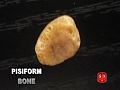 Pisiform bone.