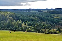 Le plateau de Millevaches vu depuis le sud-ouest de la commune.