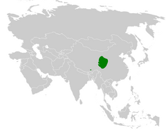 Poecile superciliosus distribution map.png