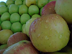 Pomme: Étymologie, Botanique, Typologie