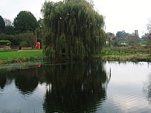 Pond, Shotesham Common - geograph.org.uk - 275590.jpg