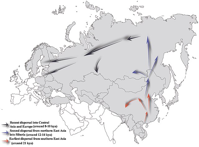 Prehistoric migration routes for Y-chromosome Haplogroup N lineage following the retreat of ice sheets after the Last Glacial Maximum (22–18 kya).