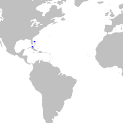 Distribuição do Pristiophorus schroederi (em azul)