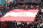 Miniatura para Procesión de la Bandera