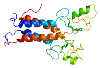 BARD1 Protein-coding gene in the species Homo sapiens