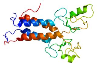 <span class="mw-page-title-main">BARD1</span> Protein-coding gene in the species Homo sapiens