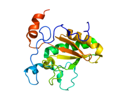 DHH PDB 2WFQ.png ақуызы