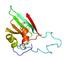 Protein EIF1B PDB 2if1.png