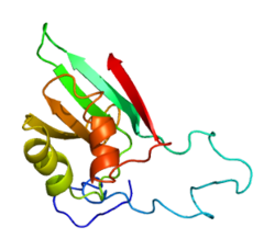 Ақуыз EIF1B PDB 2if1.png