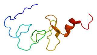 <span class="mw-page-title-main">LIMK2</span> Protein-coding gene in the species Homo sapiens