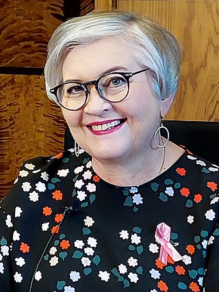 <span class="mw-page-title-main">Anu Vehviläinen</span> Finnish politician