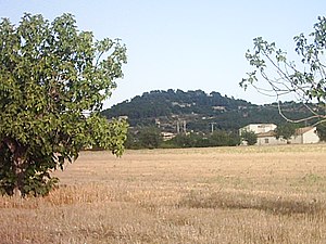 Puig de Sant Miquel