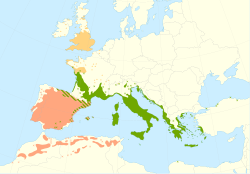 Mapa de distribuição.  Em laranja: Quercus ilex subsp.  rotundifolia.  Em verde: Quercus ilex subsp.  ilex.