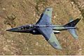Yr Awyrlu Brenhinol Dassault-Dornier Alpha Jet
