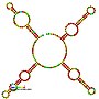 Thumbnail for Small Cajal body specific RNA 13