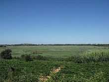 Vista do site