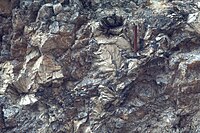 Radiating lepidolite at the White Elephant pegmatite, Black Hills, South Dakota