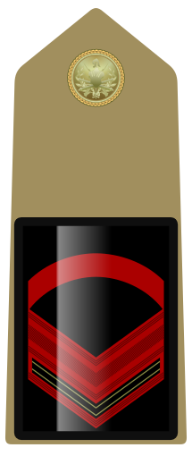 File:Rank insignia of caporalmaggiore scelto of the Army of Italy (1973).svg