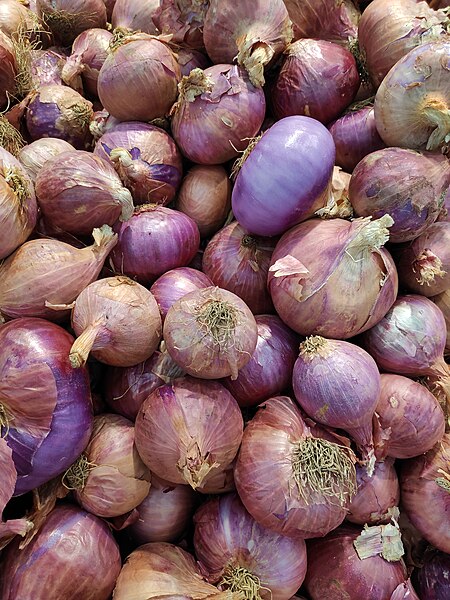 File:Red Onions.jpg