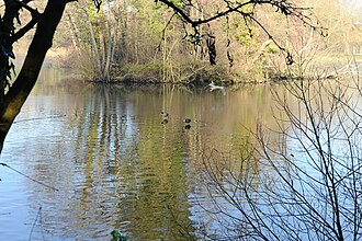 Batchworth Lake Rickmansworth Aquadrome 002.jpg