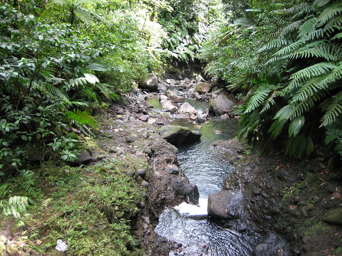 Река язык. Guadeloupe National Park.. Карбет. Riviere. Тушл Carbet.