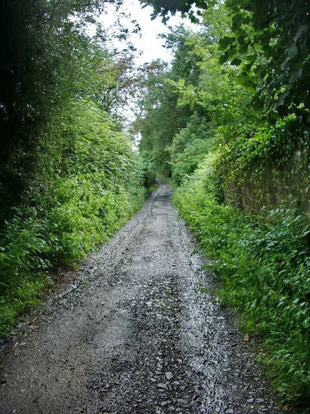 File:Road to Prospect Cottages - geograph.org.uk - 956010.jpg