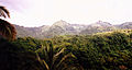Roadside view, Canaries, Saint Lucia.jpg
