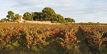 Saint-Félix, Loupian 02.jpg