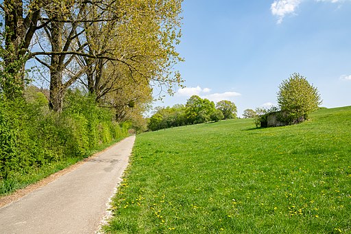 Schlangen - 2020-04-24 - LSG-4119-0020 Unteres Emkental (DSC 7998)