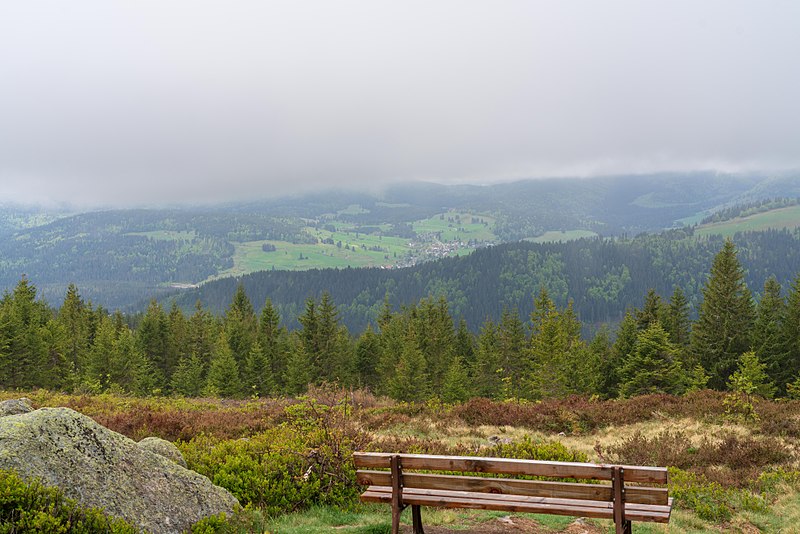 File:Schluchsee - Blick von der Schnepfhalde.jpg